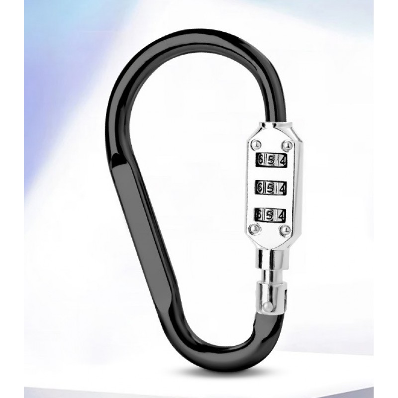 Lock Up Carabiner 